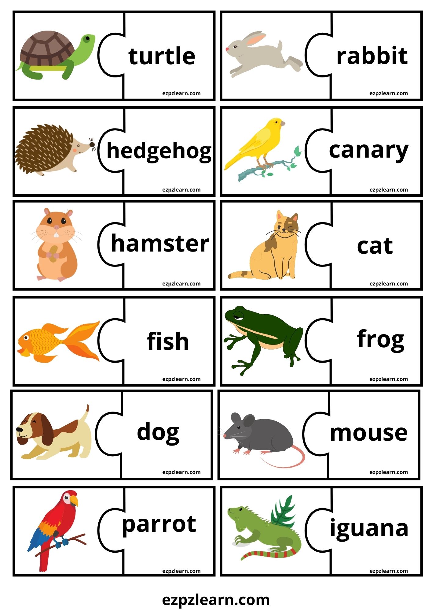 Pets Word Match Game